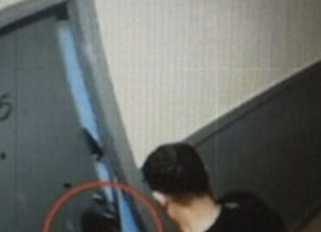 Here’s How the Biden-Harris Regime Subsidized the Venezuelan Gangs That Took Over Apartments
