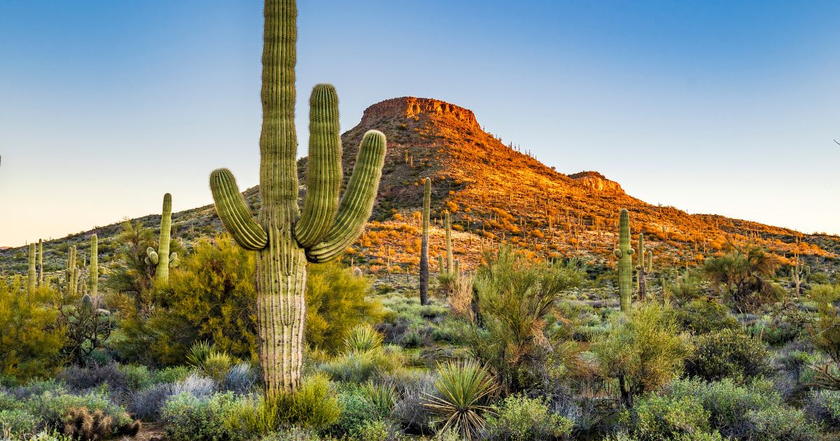 Lawsuit Filed After Elderly Man Is Found Dead in Arizona Desert