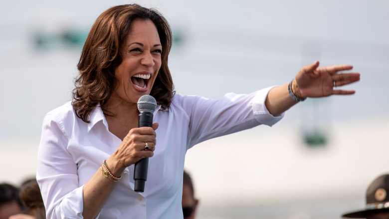 Kamala Harris Proposes $20,000 Loans for Black Entrepreneurs Only