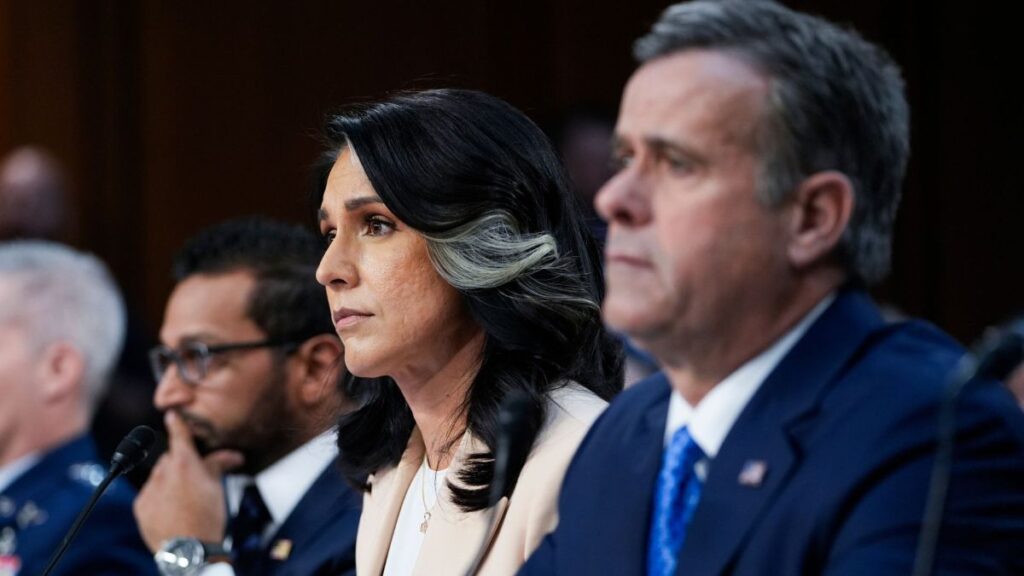 Tulsi Gabbard Launches Official Investigation Into Fauci’s Alleged COVID Cover-Up