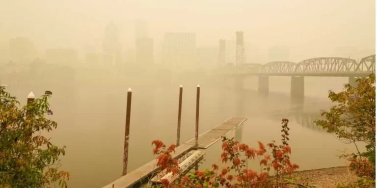 Portland’s Smoke Routine Is Becoming the Story